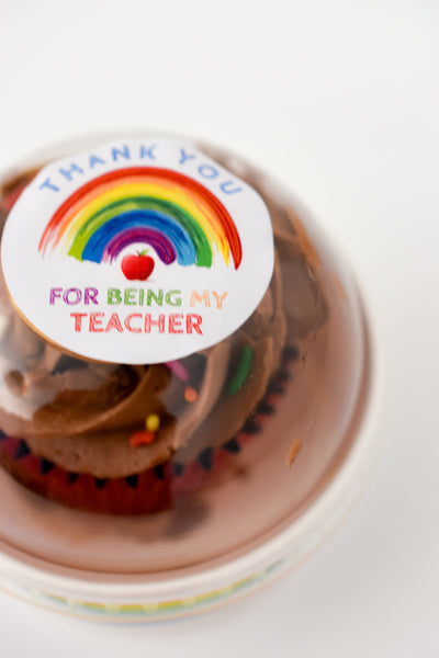 End of Term Gifts - Single Teacher Rainbow Cupcake Pot